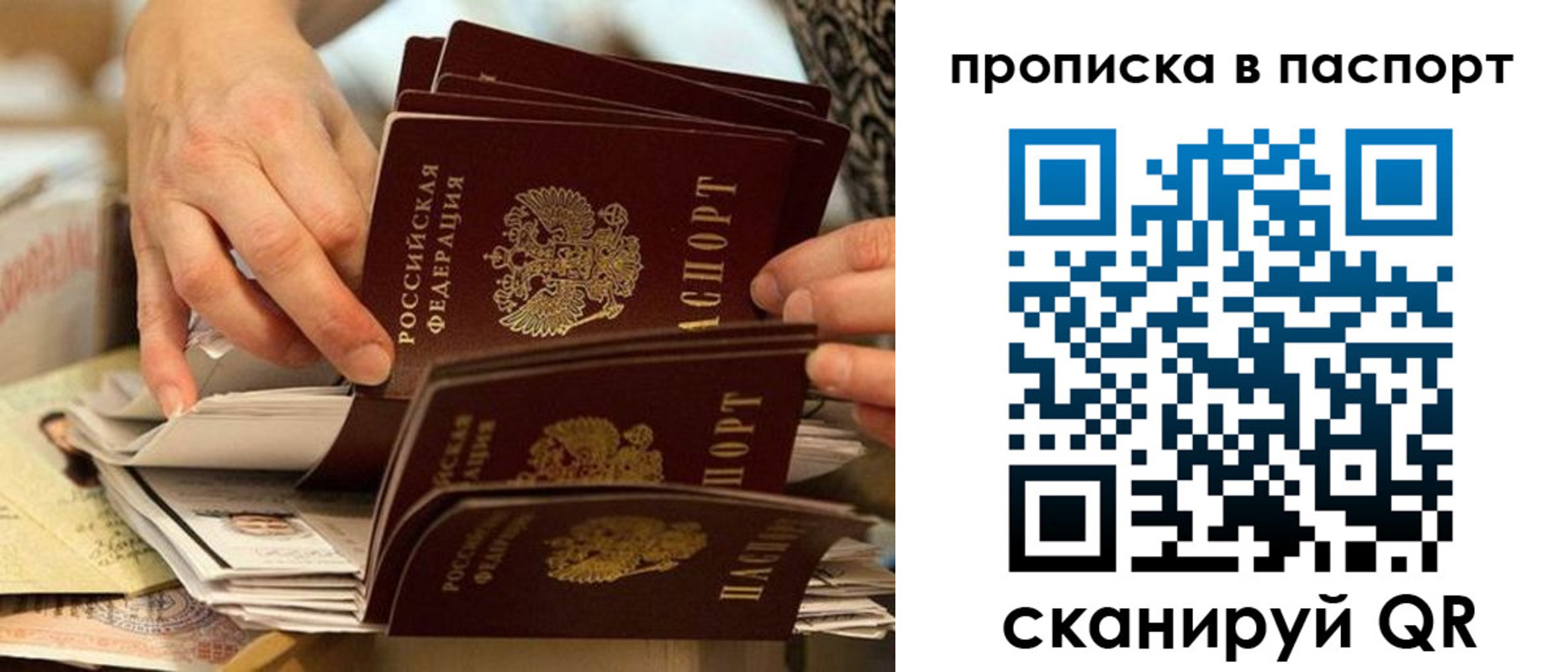 прописка законно в Петровске
